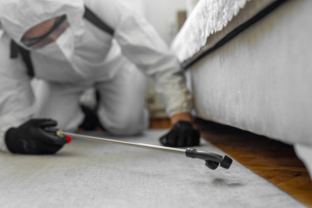 Professional Termite Control technician working in Thief River Falls, MN
