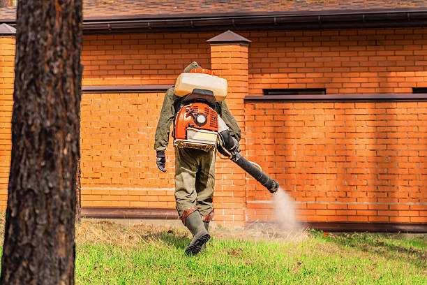 Trusted Fumigation Services service in Thief River Falls, MN - Nex Pest Control